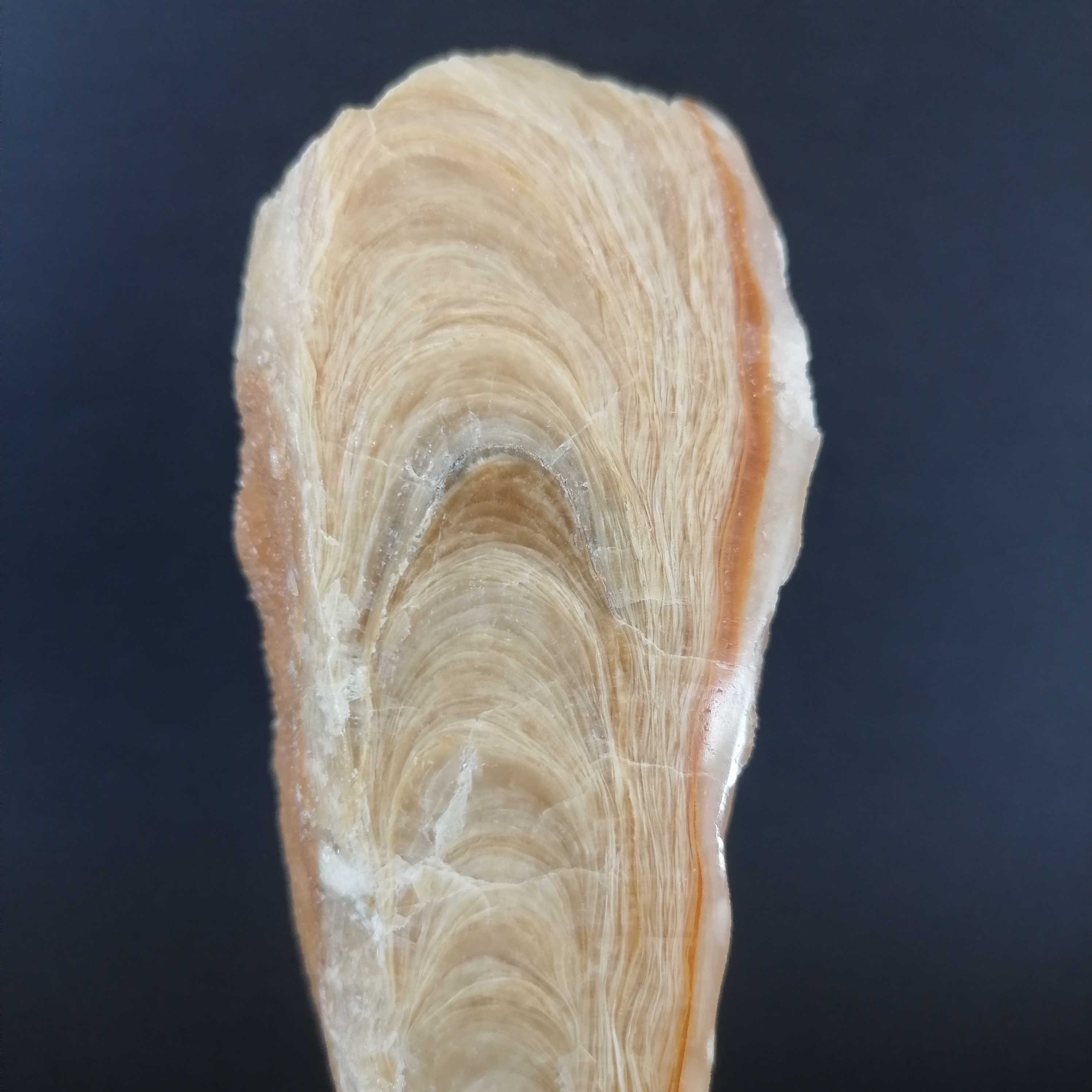 IMG_20230830_134145_1